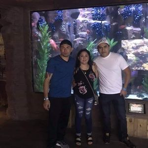 Meet your Posher, Darling